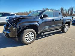 Salvage trucks for sale at Brookhaven, NY auction: 2026 Toyota Tacoma SR5