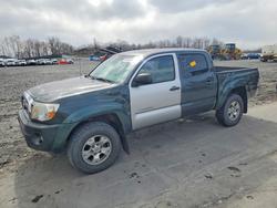 Salvage trucks for sale at Duryea, PA auction: 2009 Toyota Tacoma Prerunner V6