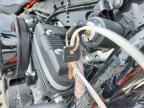 2020 Harley-Davidson XL883 N
