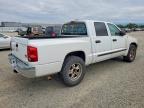 2005 Dodge Dakota Quad SLT