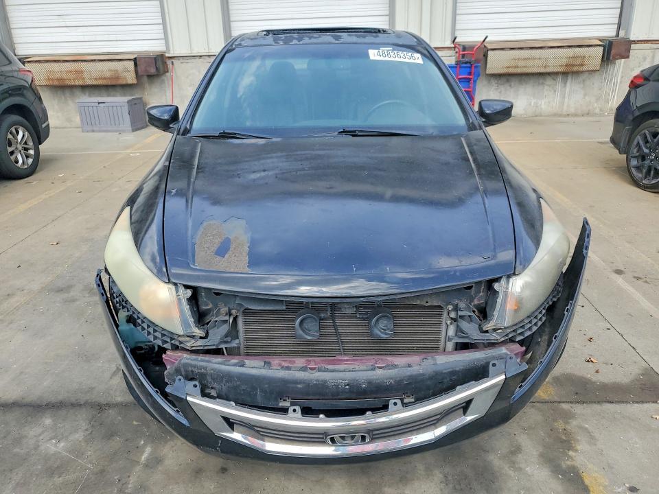 2008 Honda Accord exl