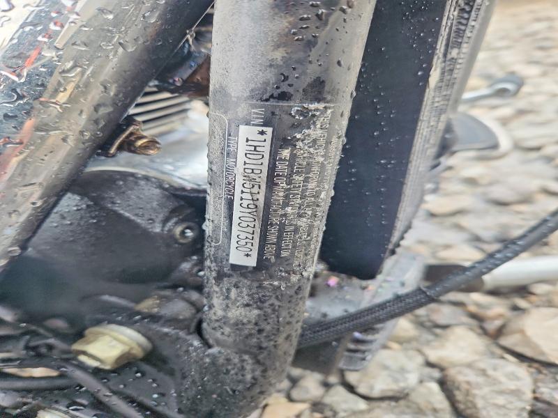 2009 Harley-Davidson Flstc