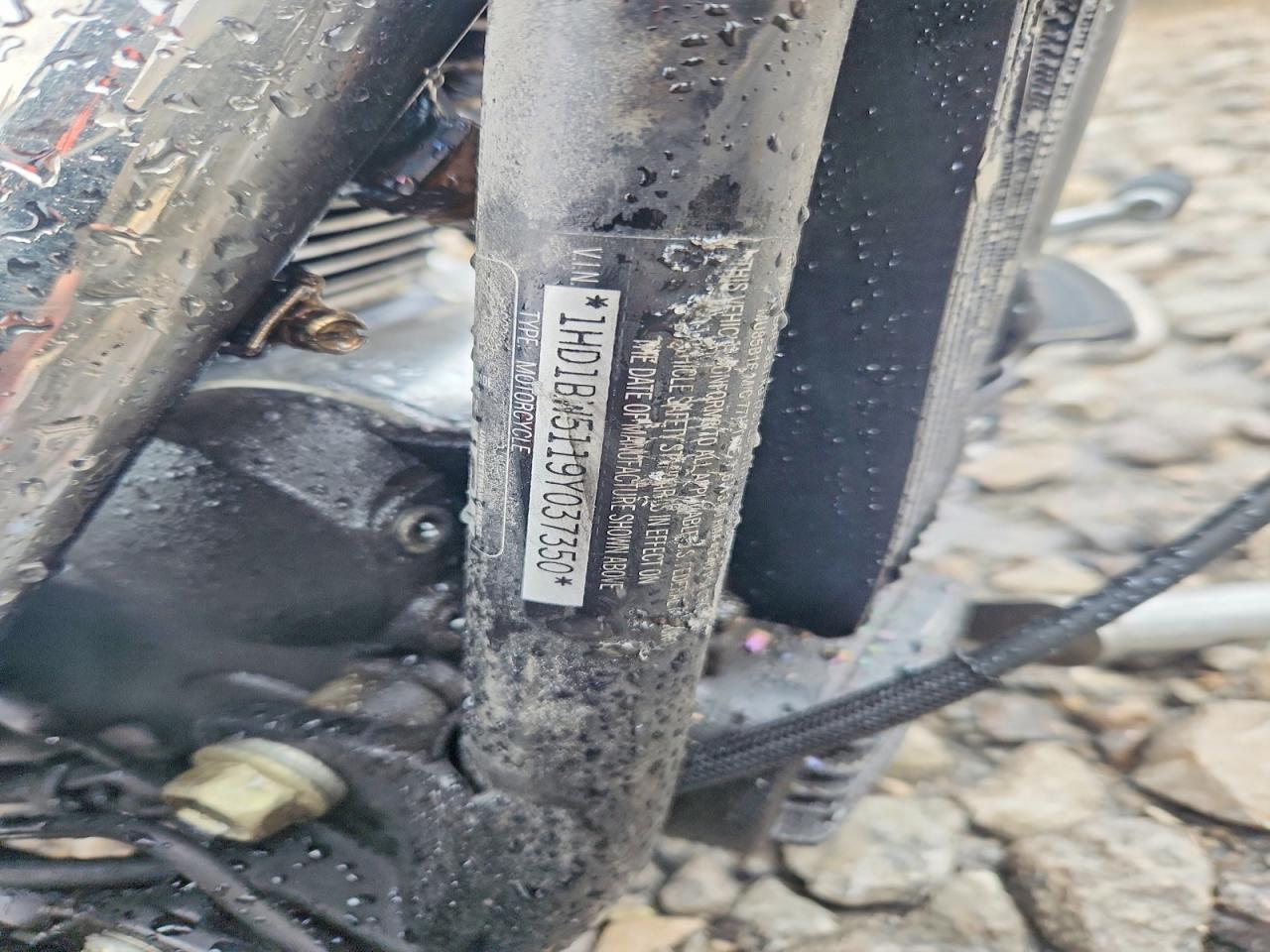 2009 Harley-Davidson Flstc