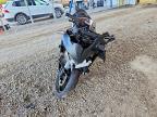 2024 Honda CBR500 RA