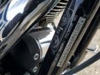 2003 Harley-Davidson Flstci Anniversary