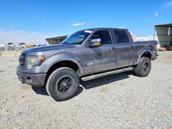 Salvage trucks for sale at Brighton, CO auction: 2013 Ford F150 Supercrew