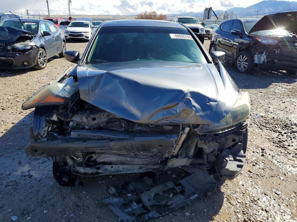 2010 Honda Accord exl