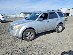 2010 Ford Escape xlt en venta en Airway Heights, WA