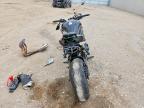 2024 Kawasaki ZR900 M