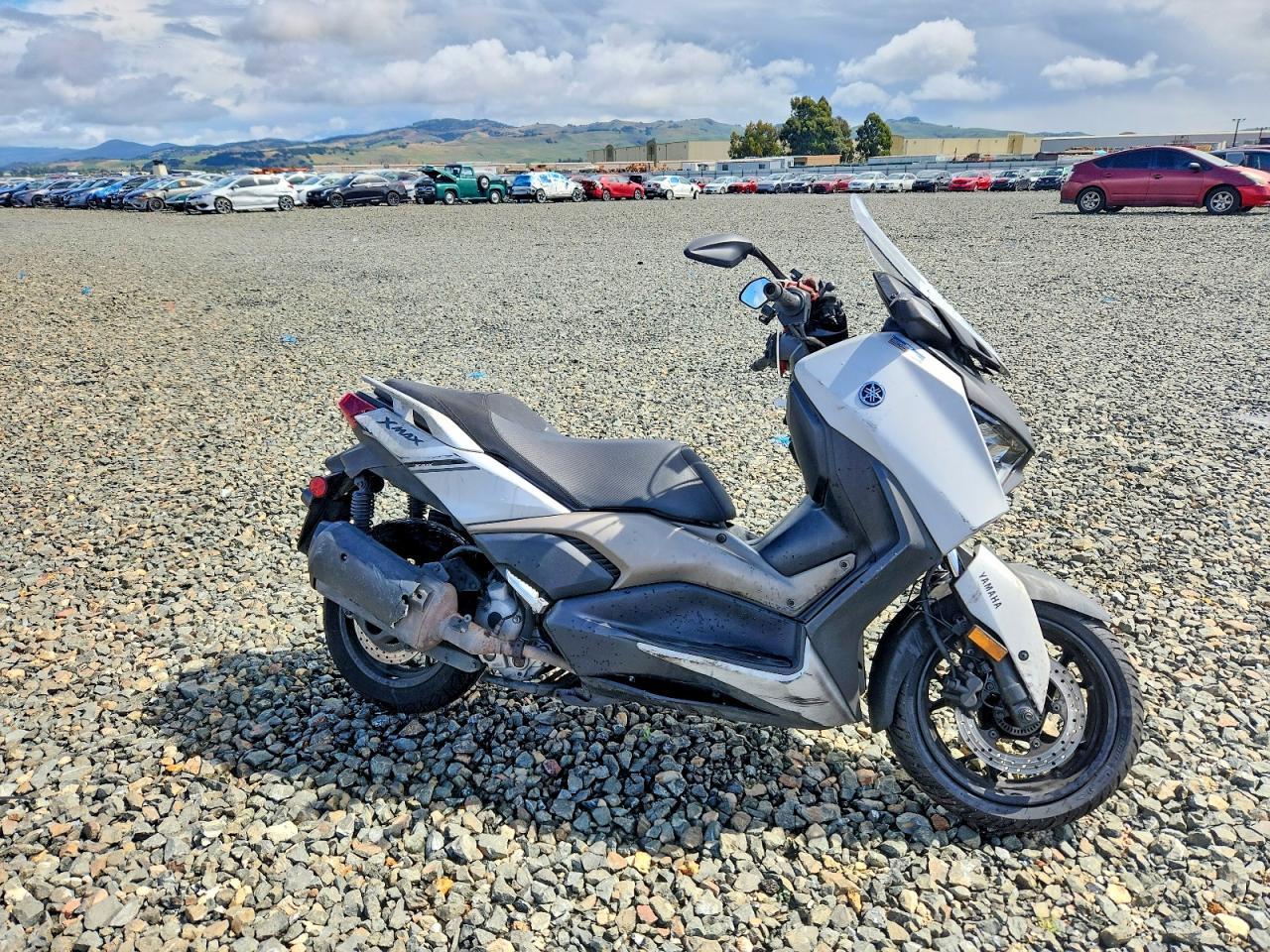 2023 Yamaha CZD300 A