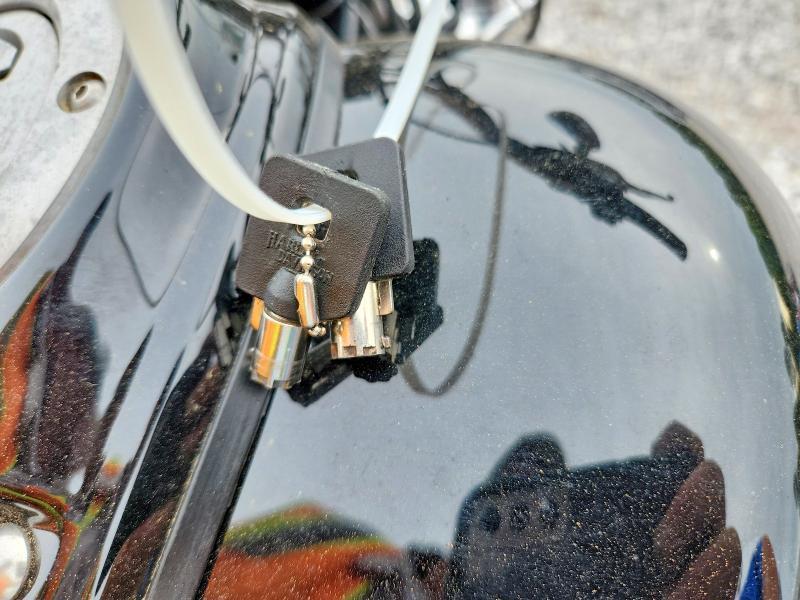 2009 Harley-Davidson FXD