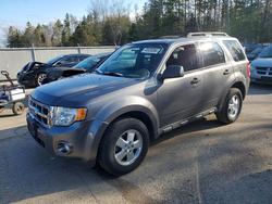 Ford salvage cars for sale: 2011 Ford Escape xlt