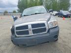 2005 Dodge Dakota Quattro