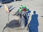 2024 Kawasaki ZX636 K