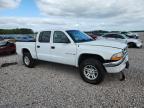 2001 Dodge Dakota Quattro