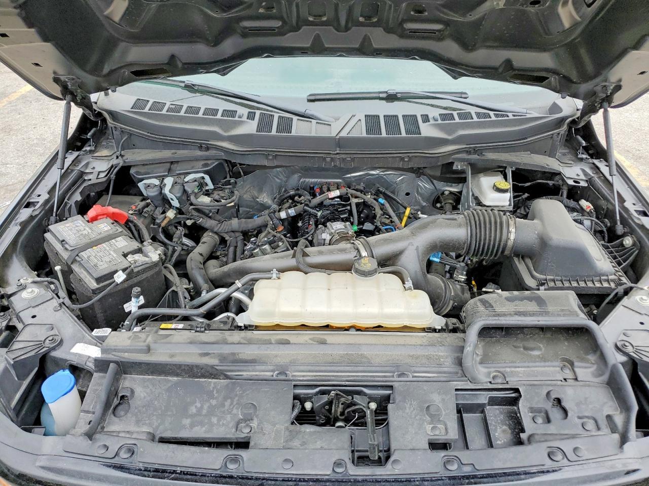 2025 Ford F150 XLT