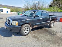 Salvage cars for sale from Copart Grantville, PA: 2005 Dodge Dakota Quad SLT