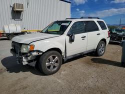 Ford salvage cars for sale: 2010 Ford Escape xlt