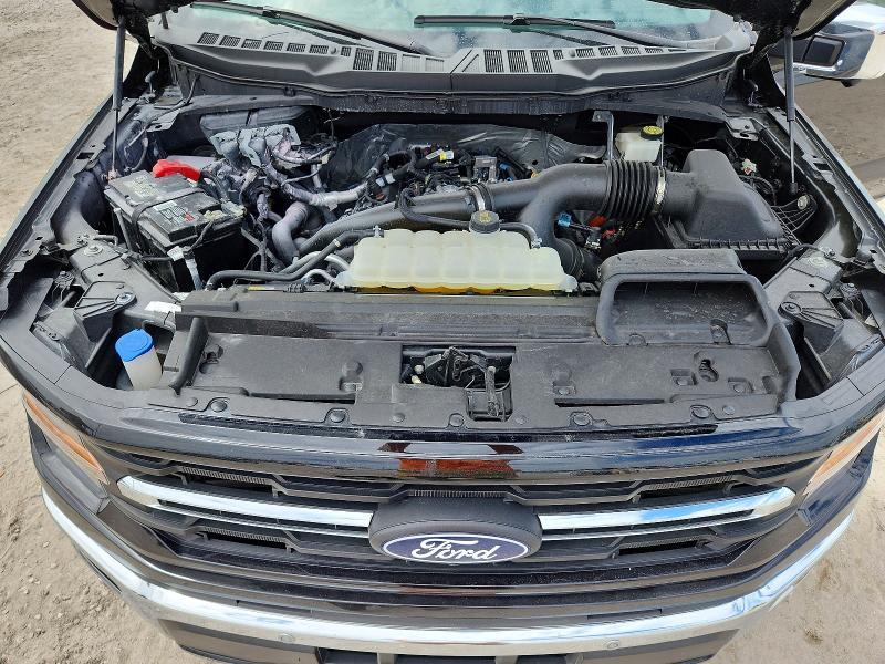 2024 Ford F150 xlt