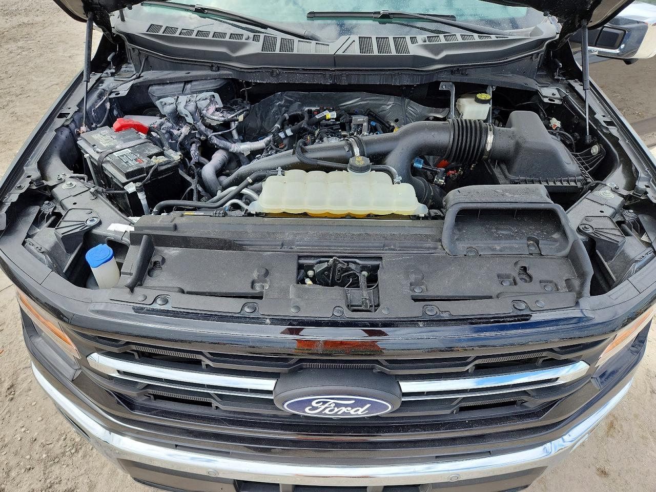 2024 Ford F150 XLT