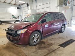 2013 Honda Odyssey exl for sale in Ham Lake, MN