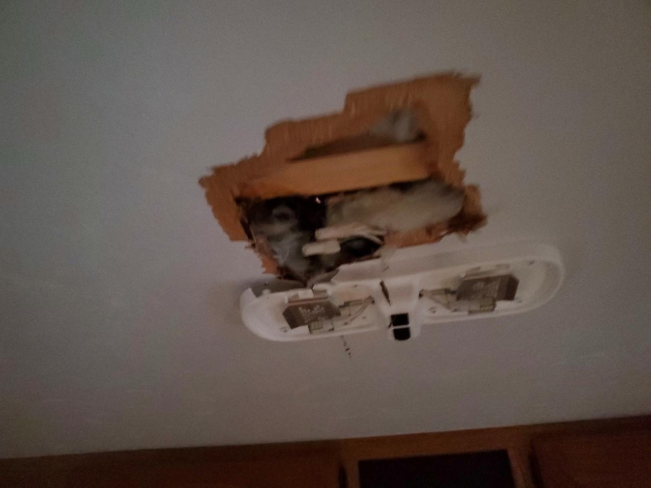 2006 Foresriver 2006 Forest River Wildwood Towables Camper