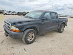 2004 Dodge Dakota Quad Sport