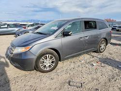 Honda salvage cars for sale: 2013 Honda Odyssey exl