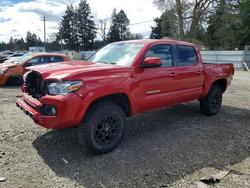 Salvage trucks for sale at Spanaway, WA auction: 2022 Toyota Tacoma SR5 V6
