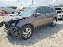 2010 Honda Cr-v exl for sale in Columbus, OH