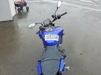 2024 Yama MT09
