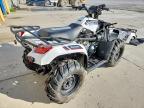 2025 Kawasaki Brute Force 450 ATV