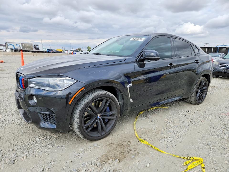 2015 BMW X6 m