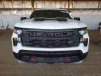 2024 Chevrolet Silverado K1500 Trail Boss Custom
