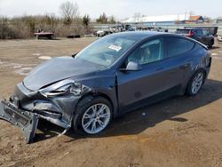 Tesla salvage cars for sale: 2023 Tesla Model y