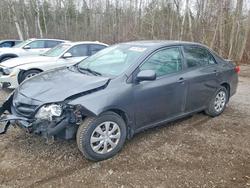 Toyota salvage cars for sale: 2011 Toyota Corolla Base