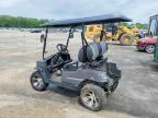 2024 Golf Cart GEM Cart