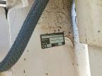1997 Cajun Boats/mastercrafter 1997 Cajun Boat