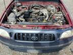 2004 Toyota Tacoma Base
