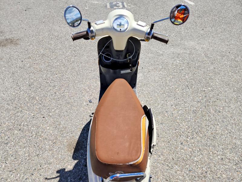 2020 Genuine Scooter Co. Buddy Kick