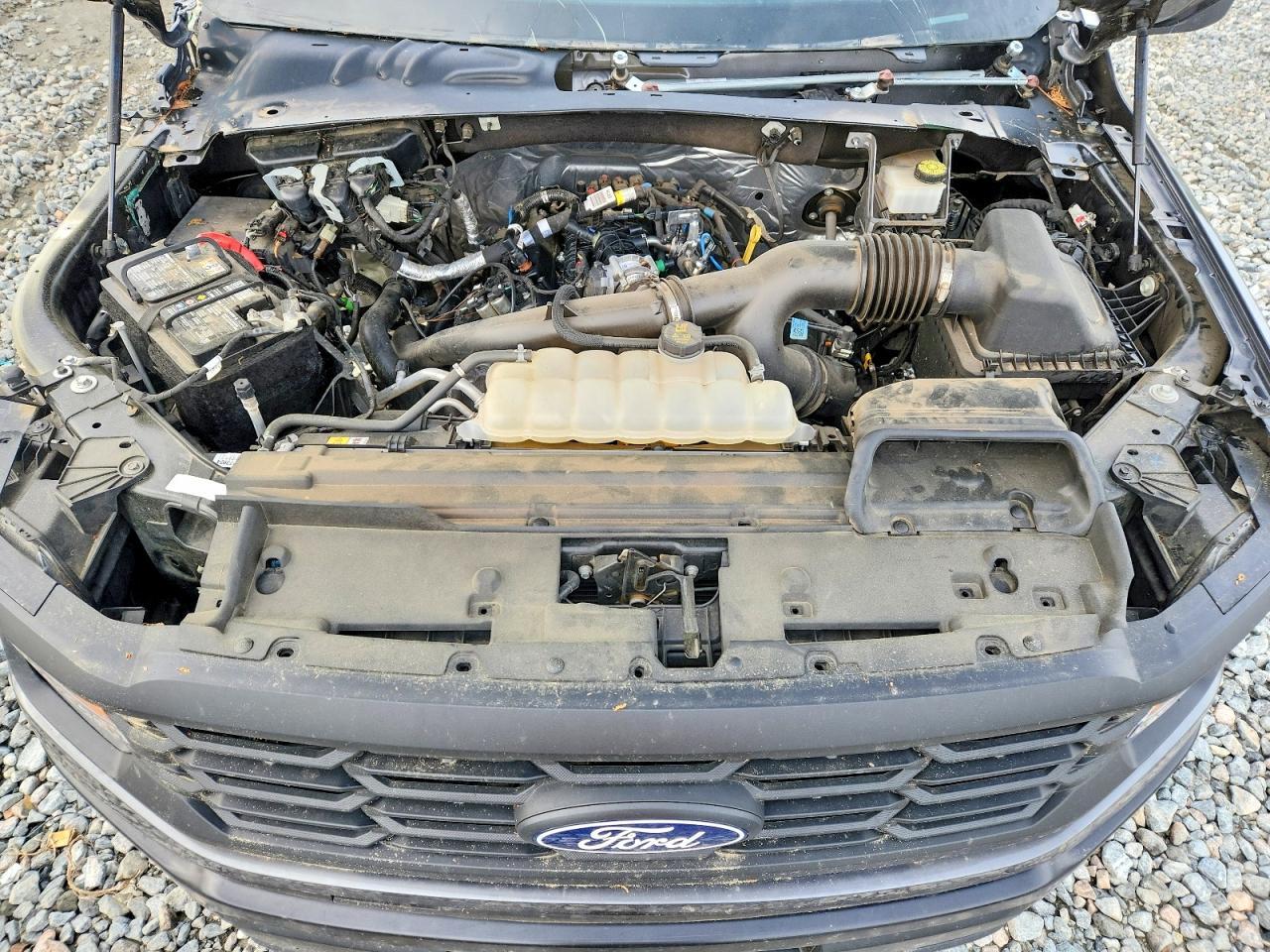 2024 Ford F150 XL