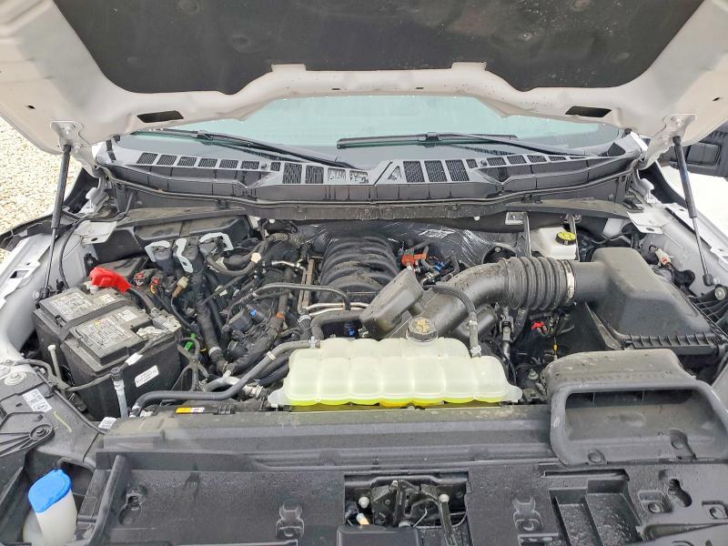 2025 Ford F150 xlt