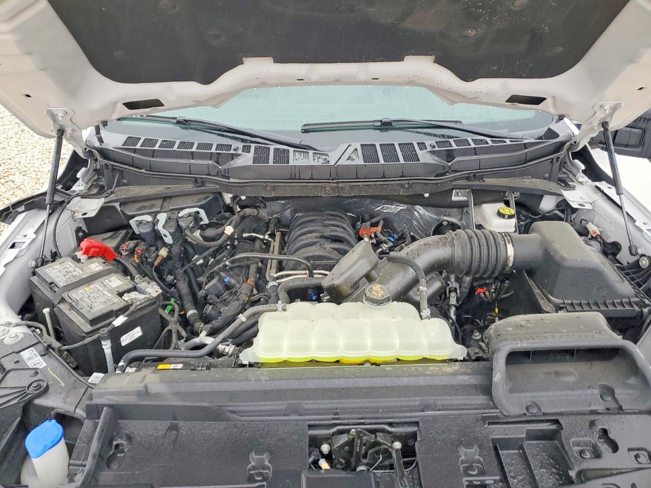 2025 Ford F150 XLT