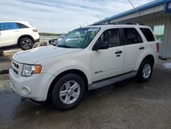 2010 Ford Escape Hybrid en venta en Memphis, TN
