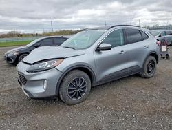 Ford Escape salvage cars for sale: 2021 Ford Escape Titanium
