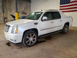 Salvage trucks for sale at Chalfont, PA auction: 2007 Cadillac Escalade EXT