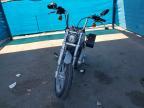 2024 Harley-Davidson Fxst