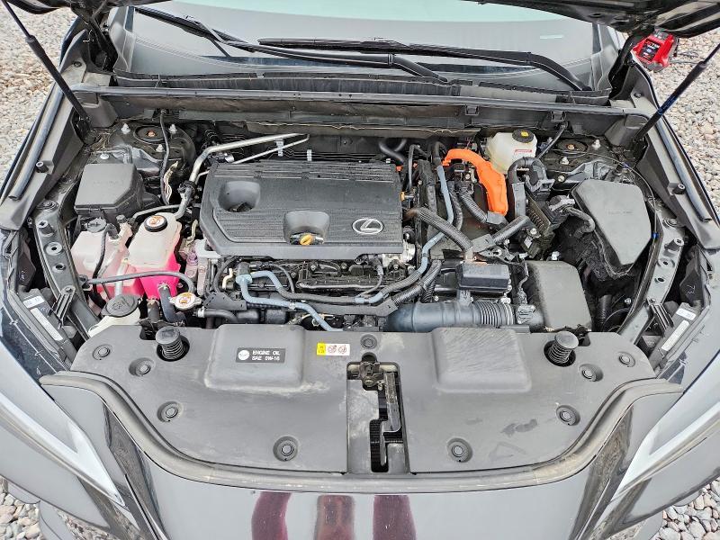 2024 Lexus Nx 350h Base