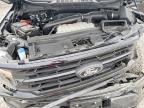 2024 Ford F150 XLT