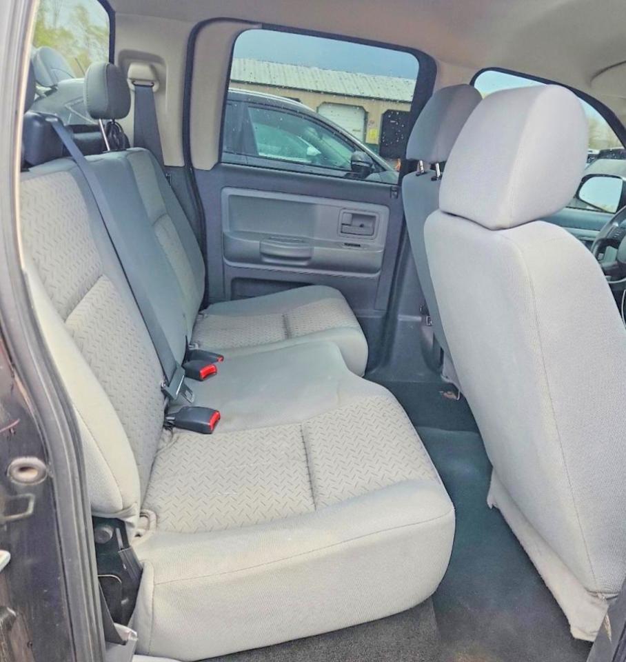 2008 Dodge Dakota SXT